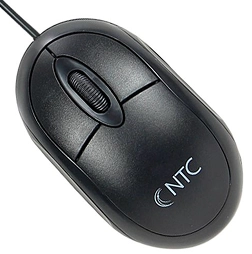 Mouse NTC